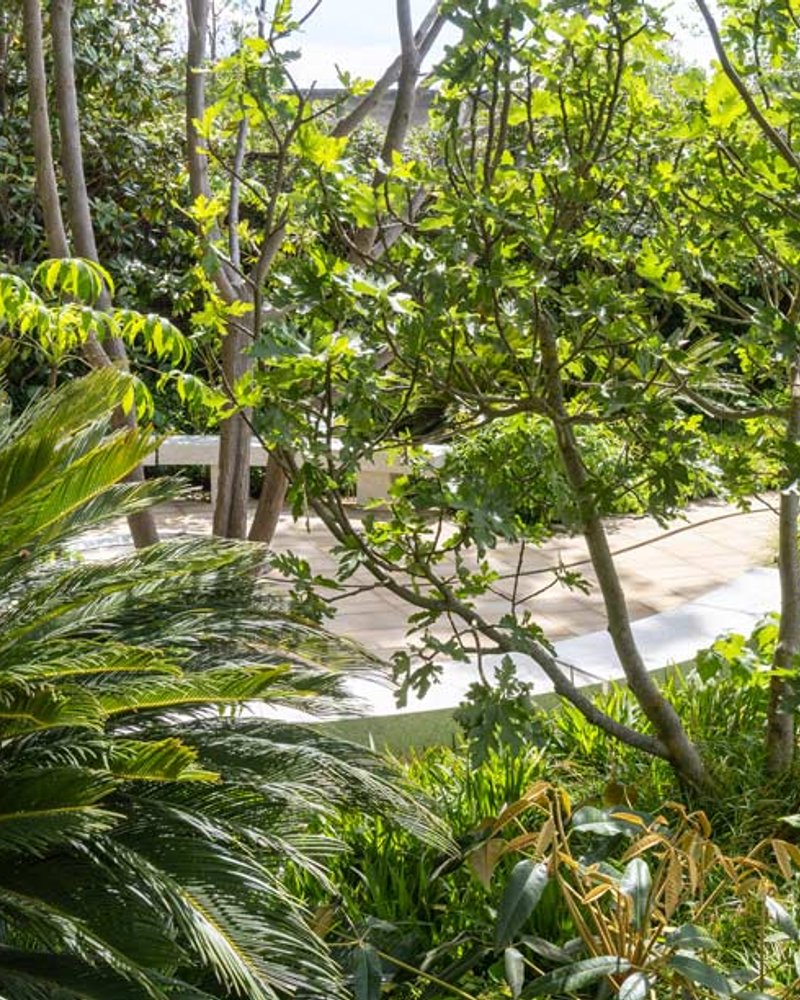 The Tate Britain Garden