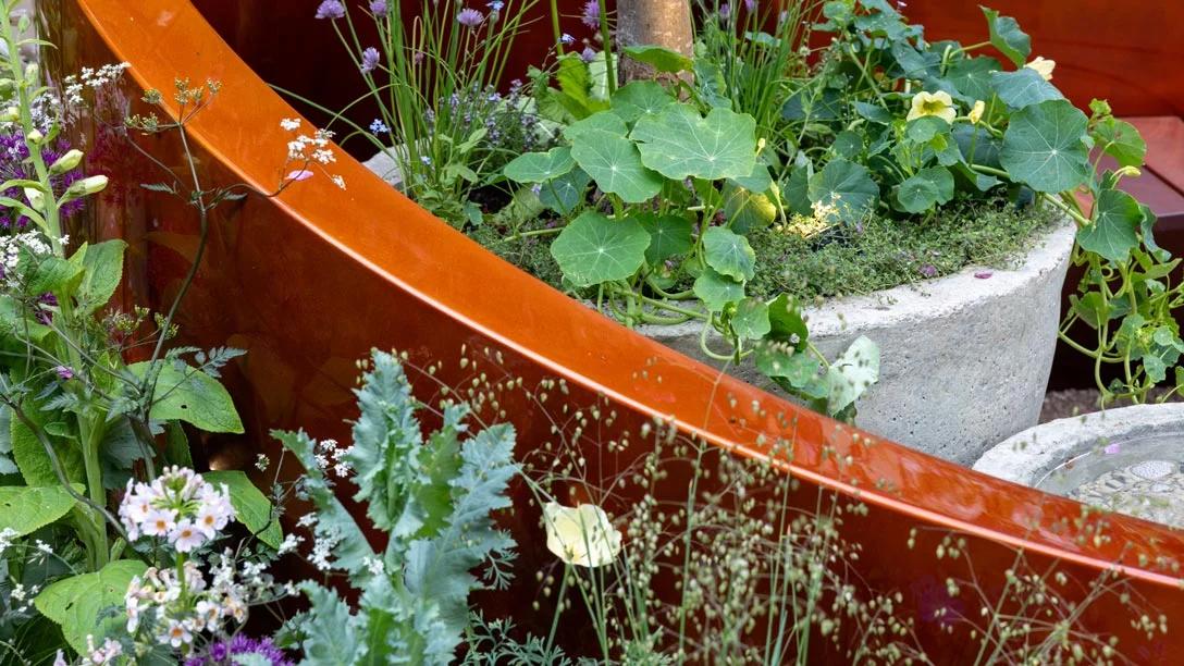 Alzheimer's Society: Microbes and Minds Garden