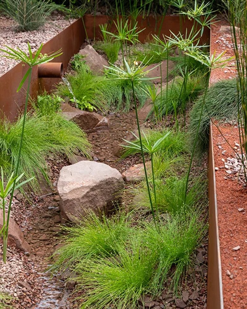 Journey Beyond the Tracks: From Adelaide to Perth Garden