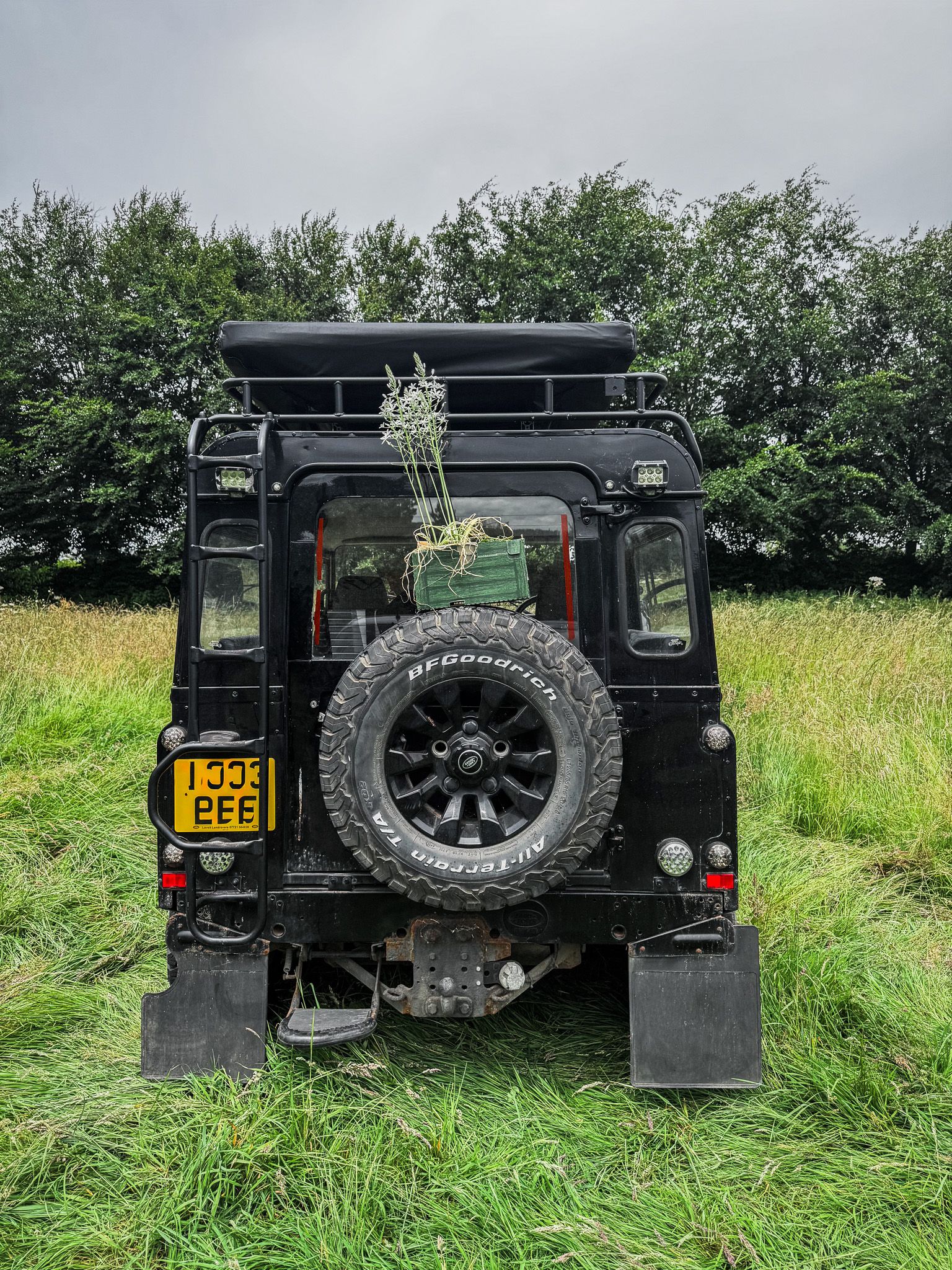Landrover Defender TD5 1999 with a ornithogalum ponticum 'sochi'on the wheel.