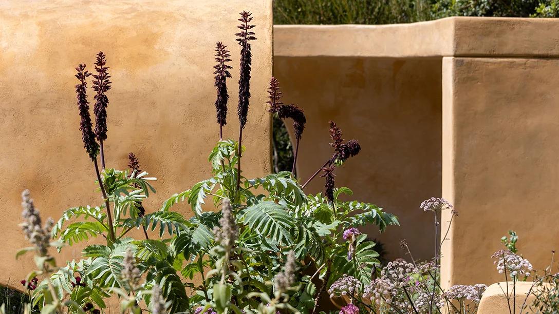 Lady Garden Foundation 'Silent No More' Garden
