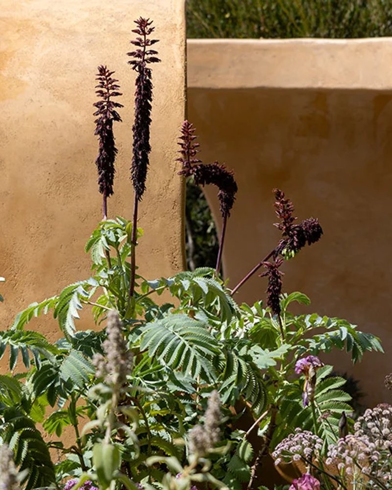 Lady Garden Foundation 'Silent No More' Garden