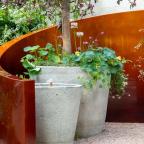 Alzheimer's Society: Microbes and Minds Garden