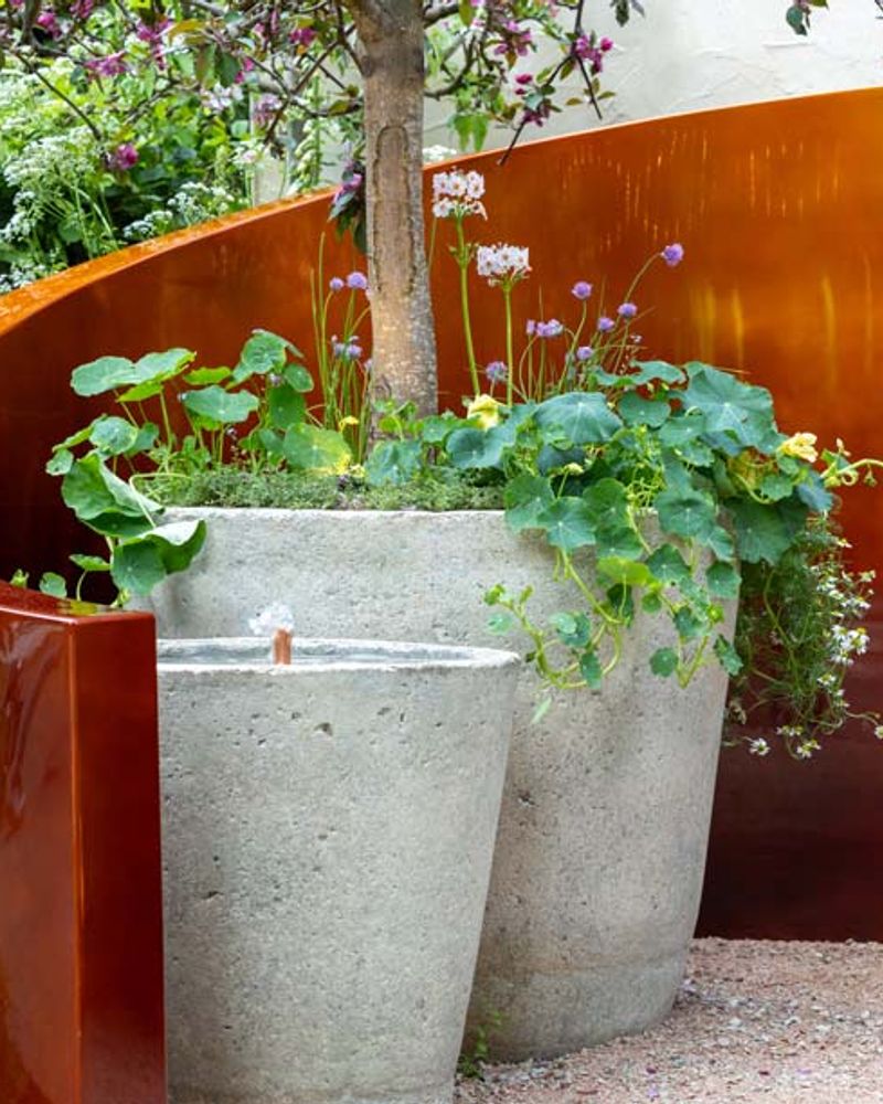 Alzheimer's Society: Microbes and Minds Garden