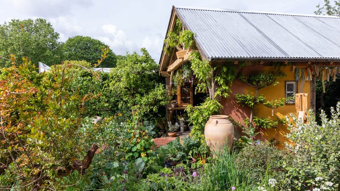 The King's Foundation Curious Garden