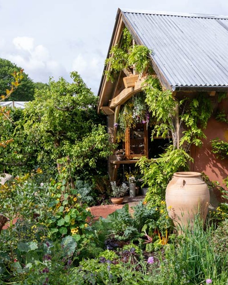 The King's Foundation Curious Garden