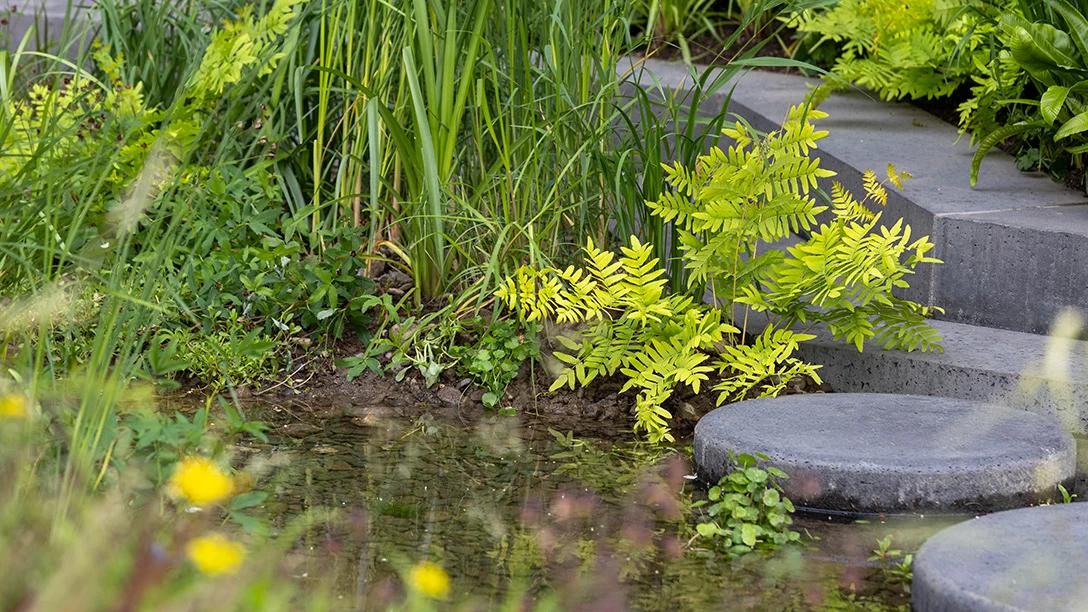 The Killik & Co ‘A Seed in Time’ Garden