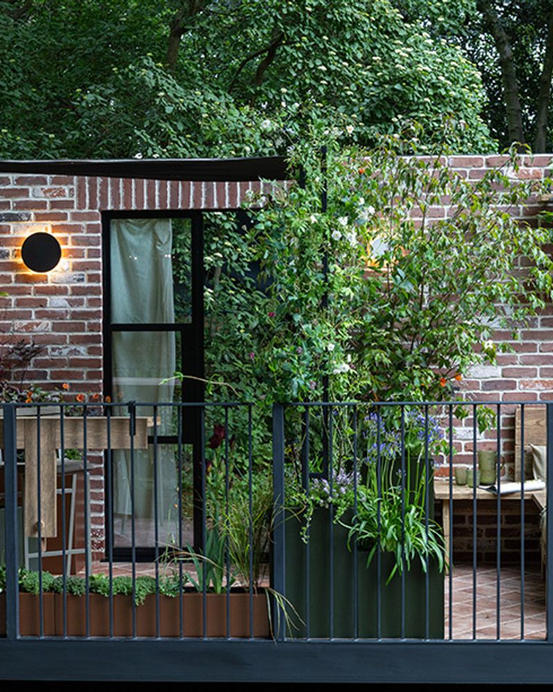 The Transient Garden