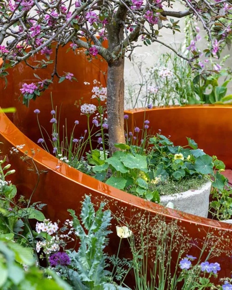 Alzheimer's Society: Microbes and Minds Garden