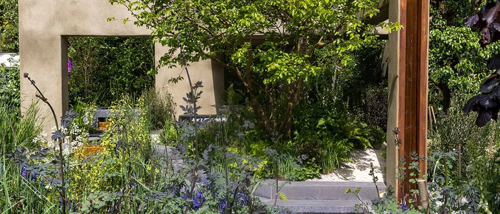 The Killik & Co 'A Seed in Time' Garden at RHS Chelsea 2026
