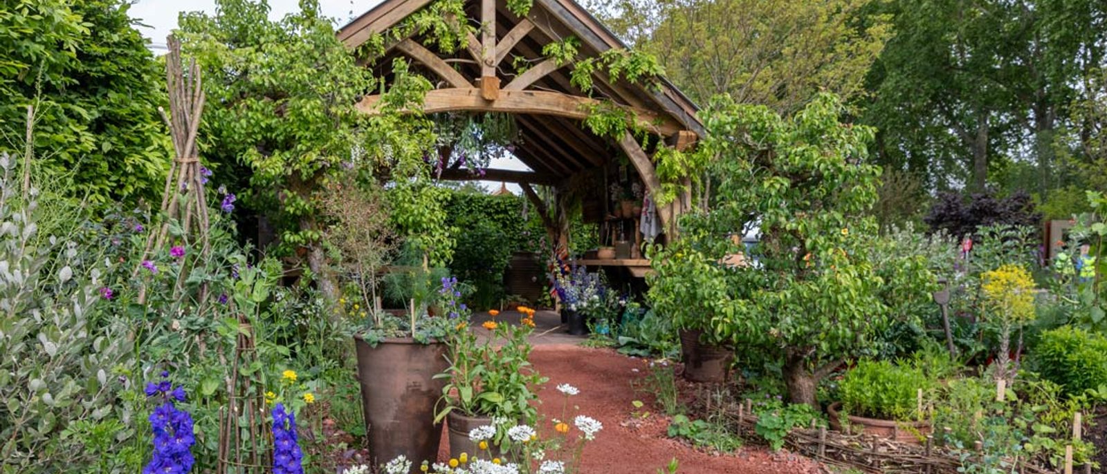The King's Foundation Curious Garden