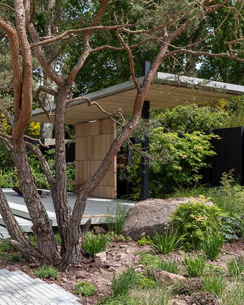 Asthma + Lung UK Breathing Space Garden