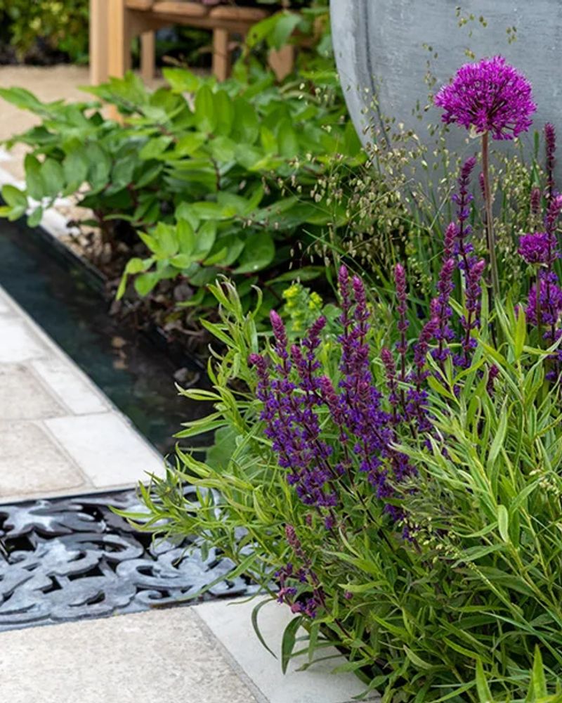 The Boodles Garden