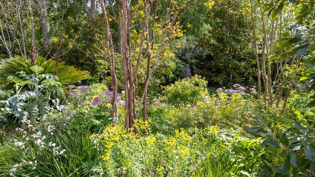 The Tate Britain Garden