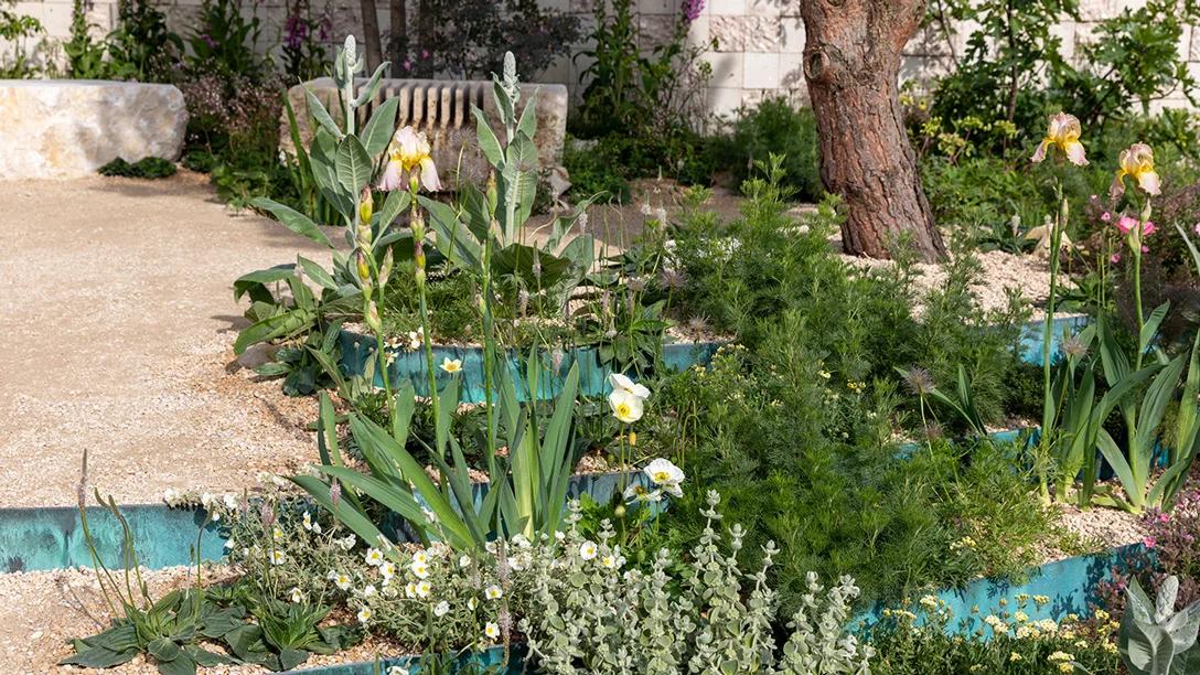 Addleshaw Goddard: Flourish in the City Garden