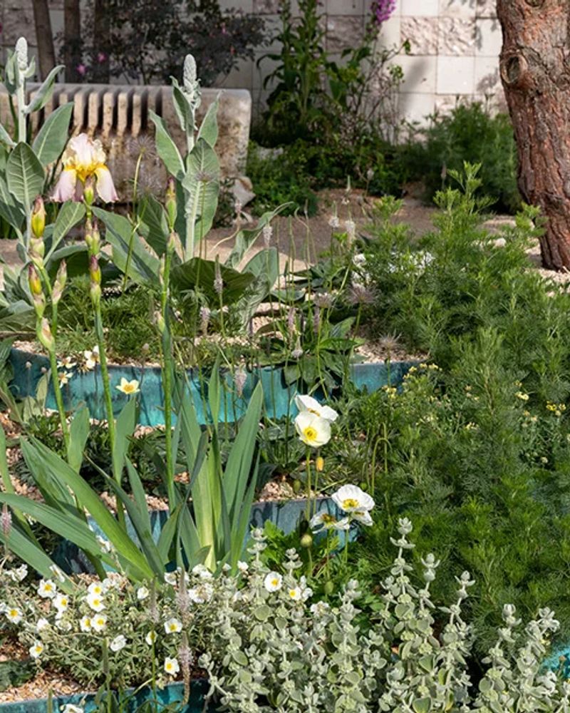 Addleshaw Goddard: Flourish in the City Garden