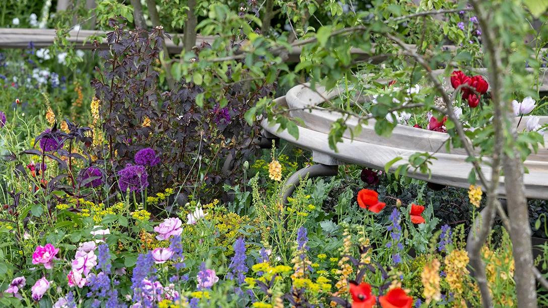 Parkinson's UK — A Garden for Every Parkinson's Journey
