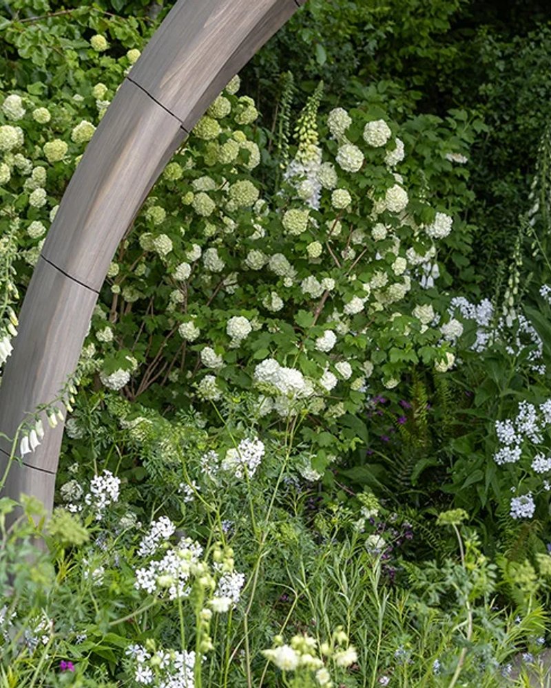 Parkinson's UK — A Garden for Every Parkinson's Journey