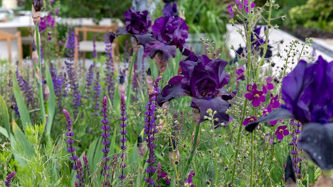 The Boodles Garden