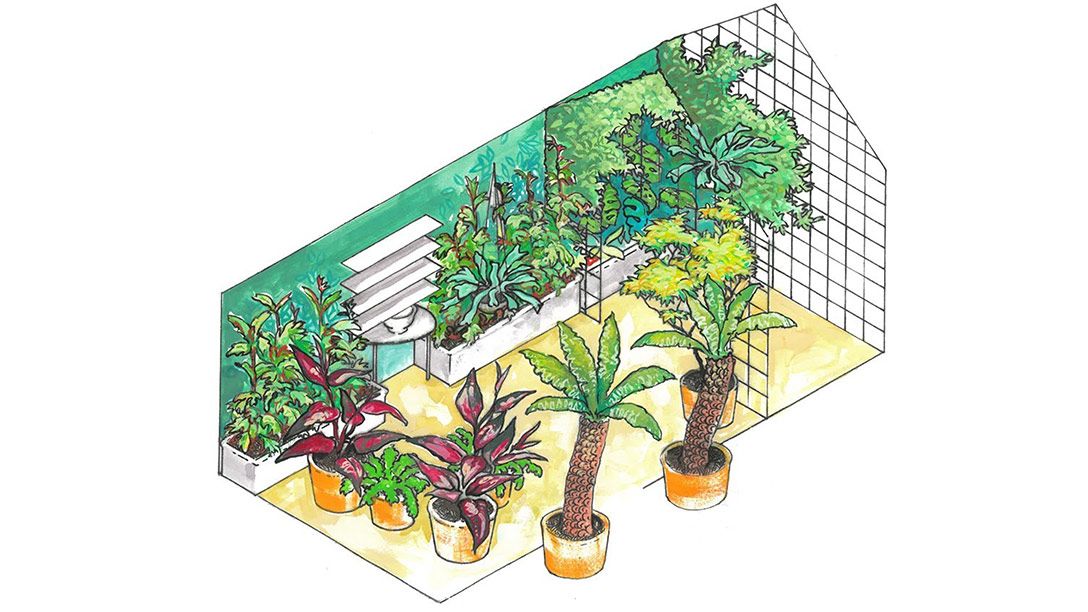 The Conservatory