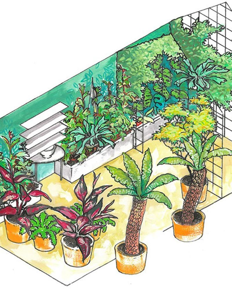 The Conservatory