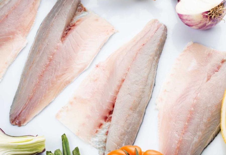 Filetto di Branzino