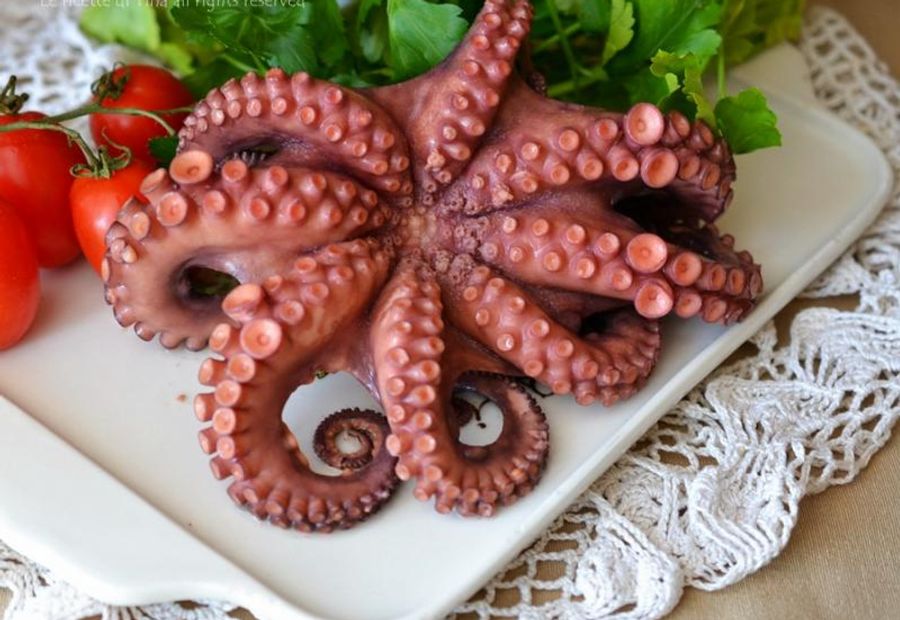 Polpo
