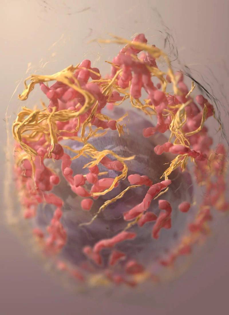 Molecular Diagnosis of Melanoma and Melanocytic Lesions in Clinical Practice