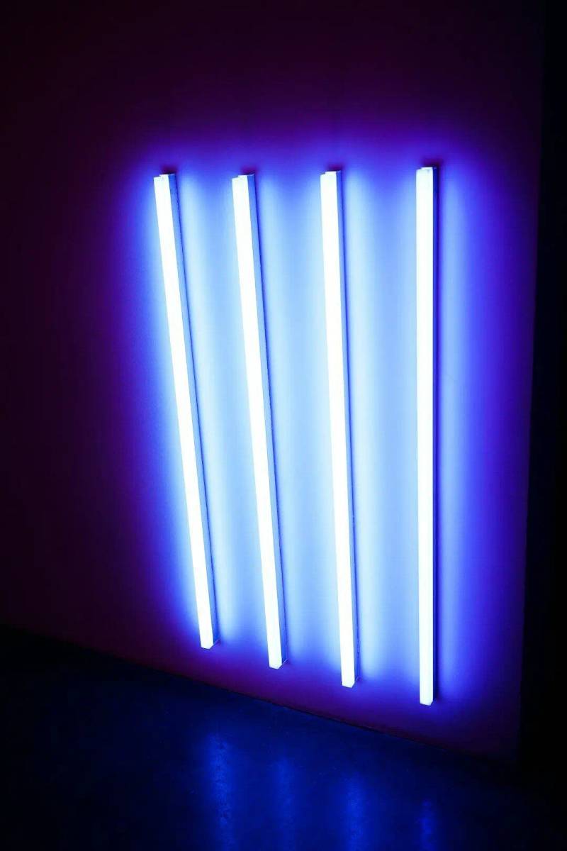 Shining a Light on the Role of Visible Light Photoprotection