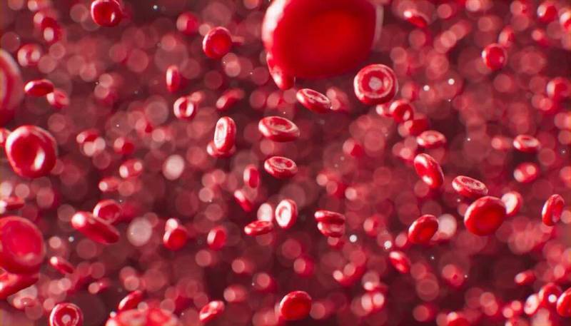 Video Interview: Immunology 101