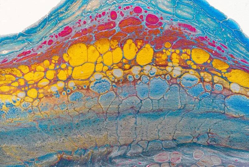Immunology 101: Dermatology Pathways and Clinical Implications