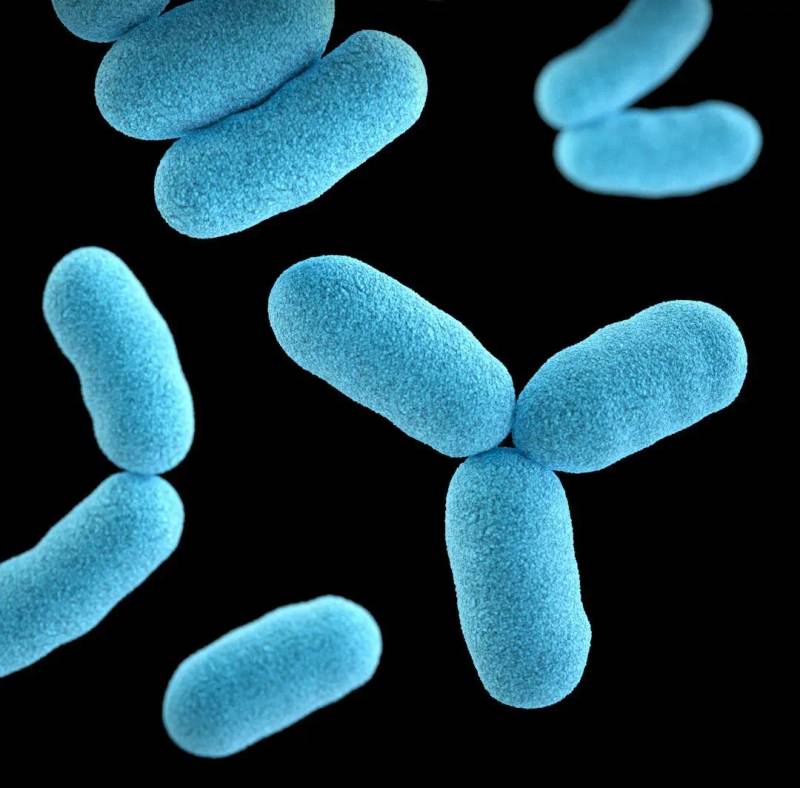 The Role of the Microbiome in Acne and Rosacea