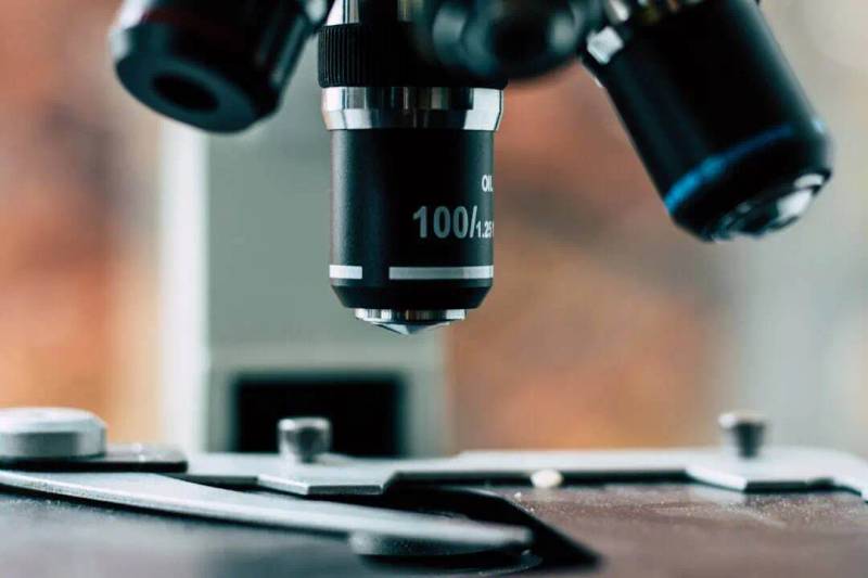 Histopathology for the Dermatology Professional