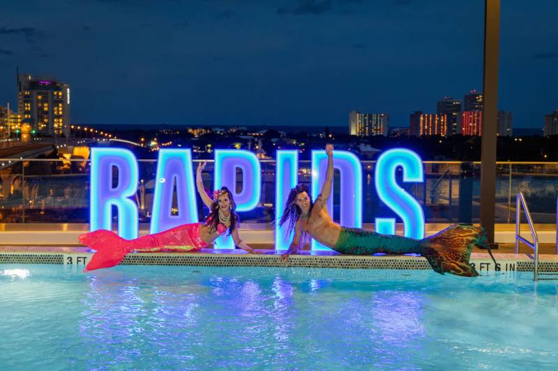 RAPIDS Conference Day 4
