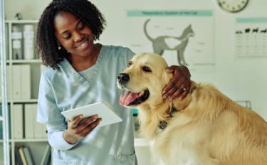 Medicina Veterinária