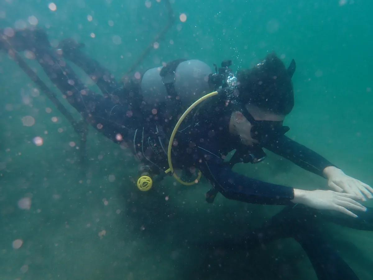 三浦・城ヶ島での海洋実習。中性浮力を保ちながら水中を進む