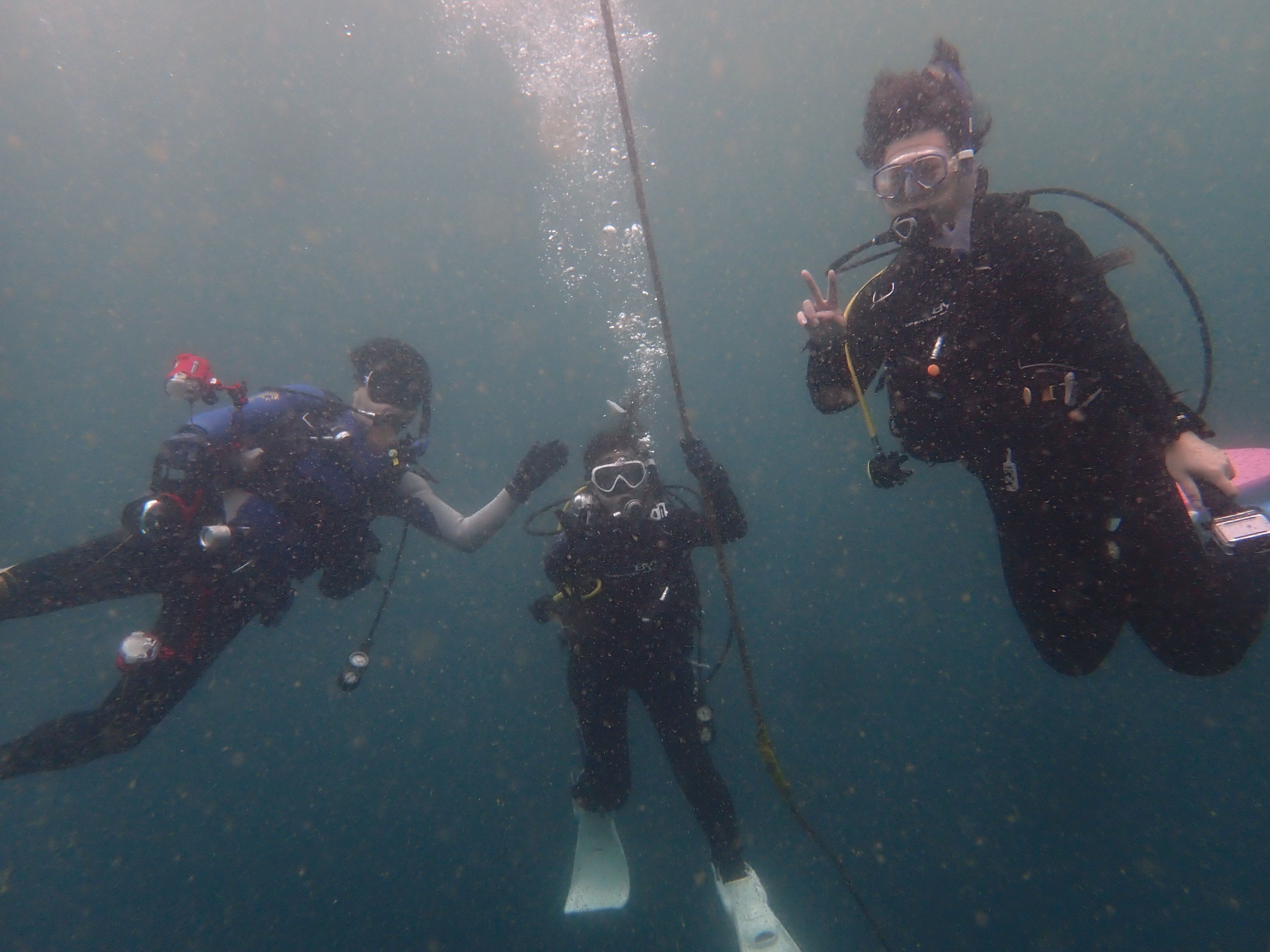 夢はリゾートへ！三浦の海で繋がった、新しい仲間との最高のボートダイブ！