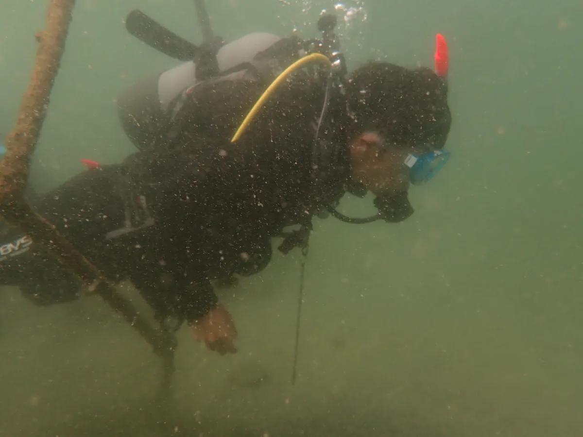 三浦・城ヶ島の海中でスキル練習に取り組むダイビング講習の様子