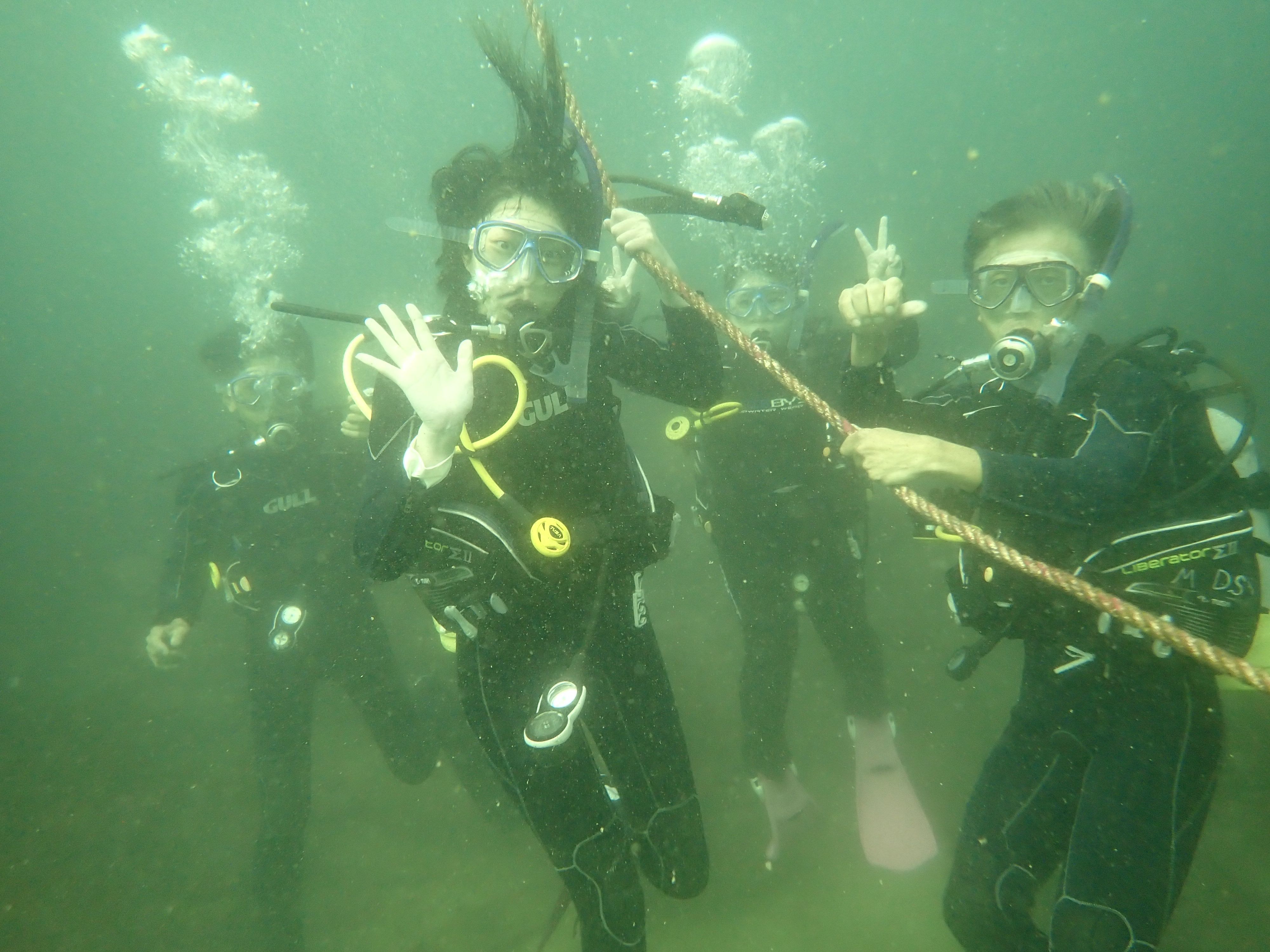 初対面でも最高のバディ！タツノオトシゴにも会えた三浦AOW＆ボートダイブ！