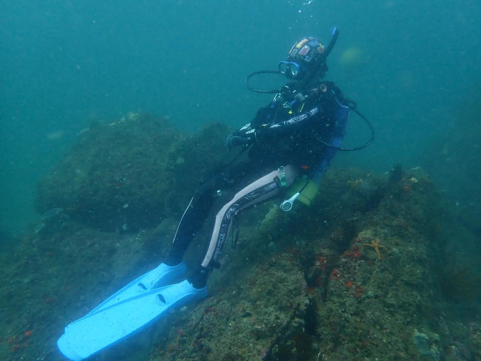 ロープ脇で中性浮力を練習するダイバー。三浦・宮川湾の岩礁地帯
