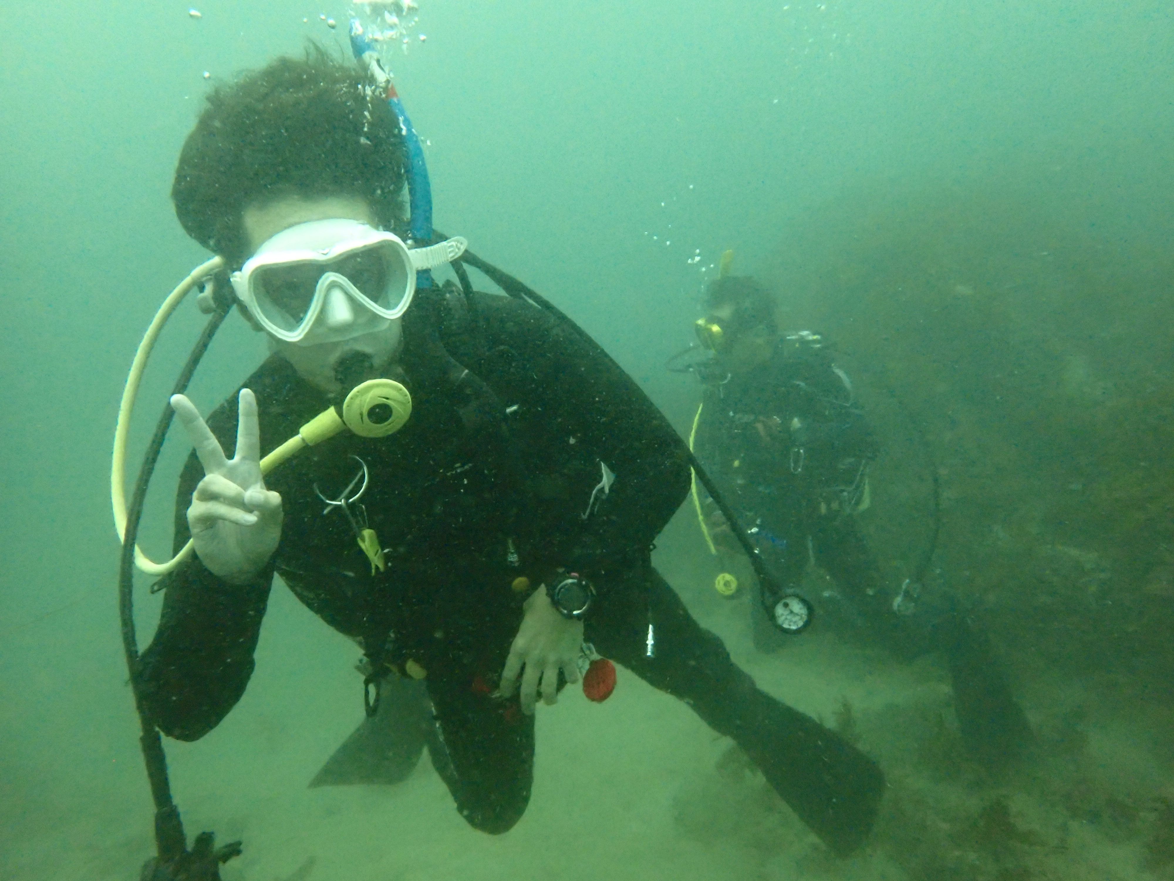 透明度回復！リゾートダイバーと潜る三浦のボートダイブ＆絶品マグロ丼！