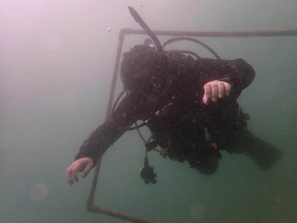 三浦の海で中性浮力の姿勢を練習するオープンウォーター講習の受講者
