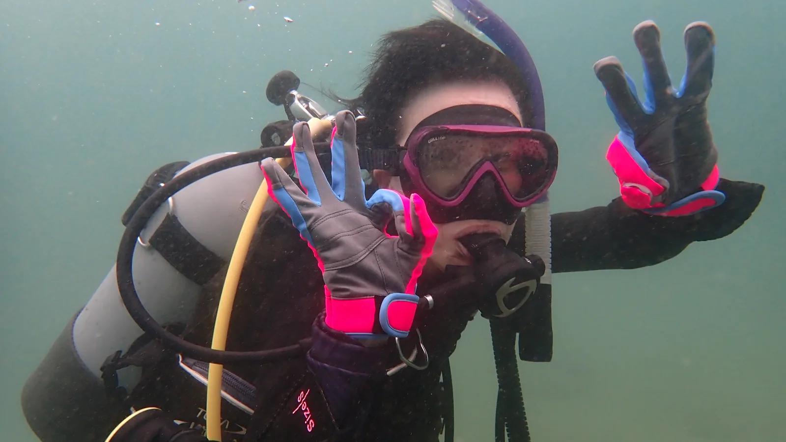 水温23度の三浦でPADIオープン・ウォーター認定ダイブ——浮力コントロールの話