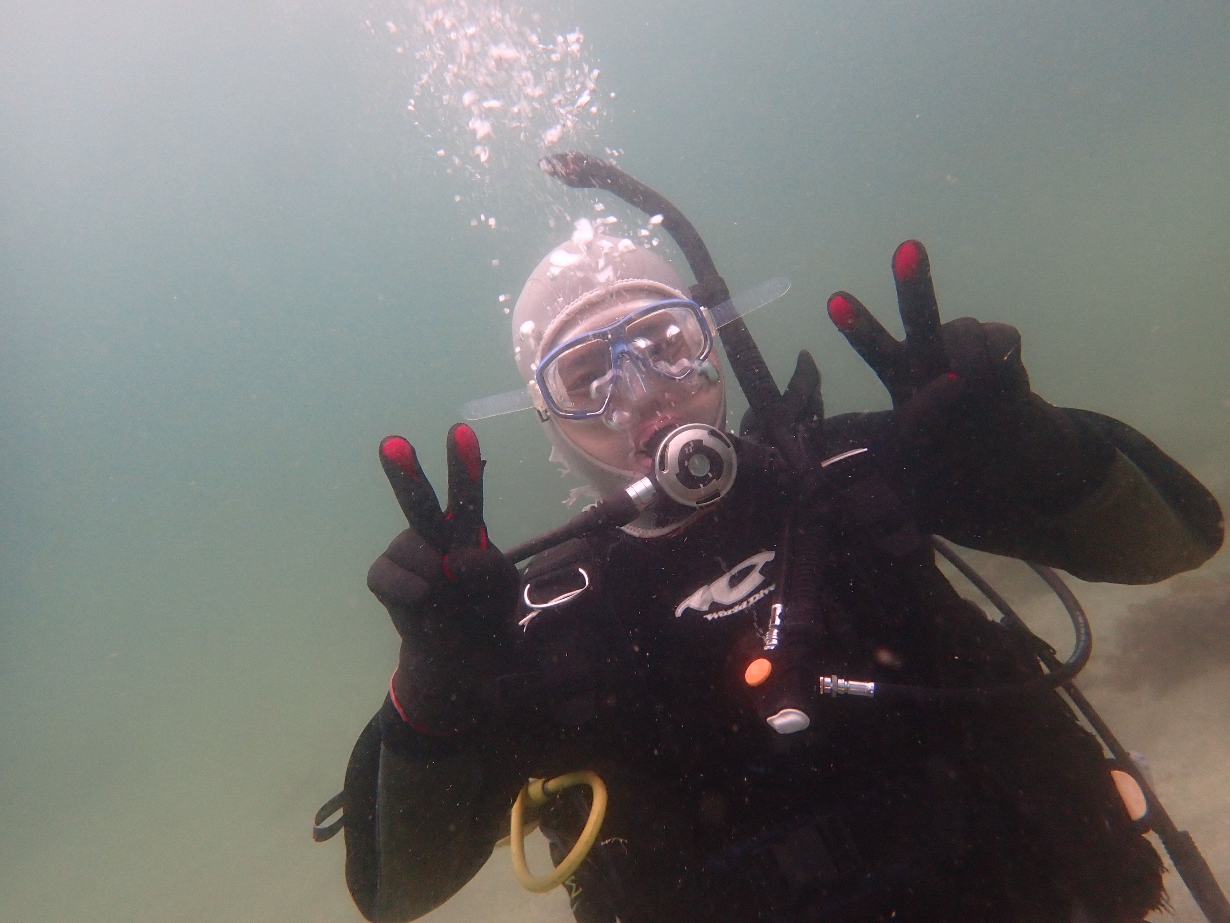 雨の三浦でOWD認定ダイブ——ウミウシの宝庫で迎えたライセンス取得