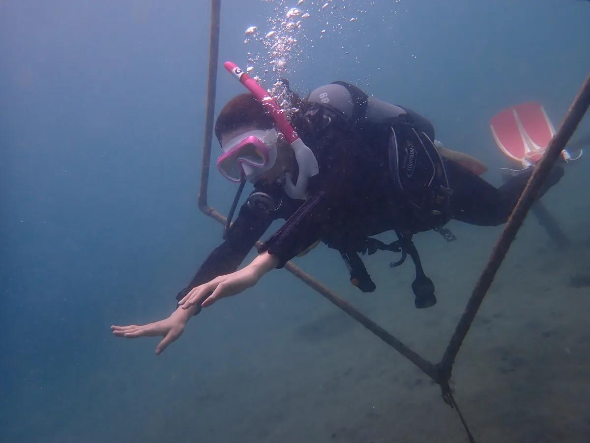 三浦・城ヶ島の海中で水平姿勢を保つファンダイビング中のダイバー