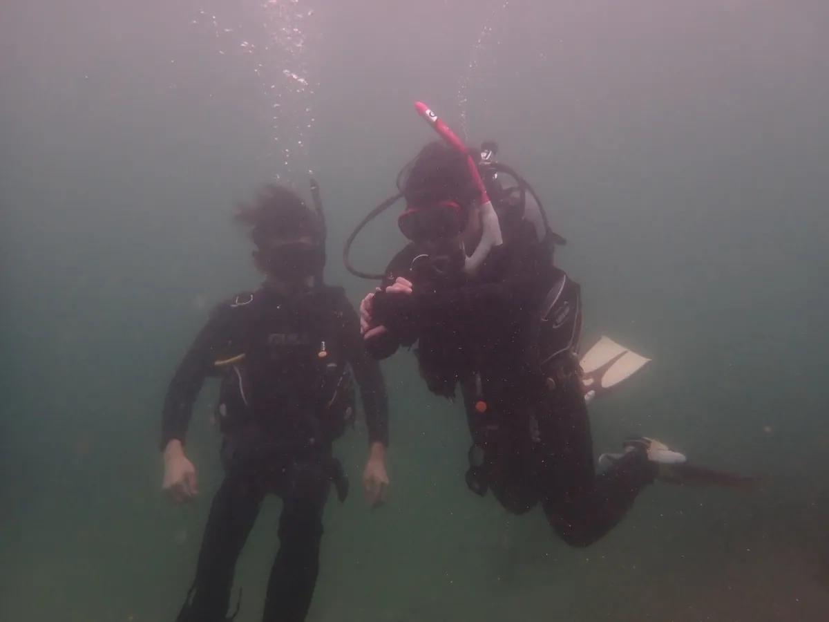 三浦の海で中層にとどまり、中性浮力の練習をするアドバンス講習の受講生