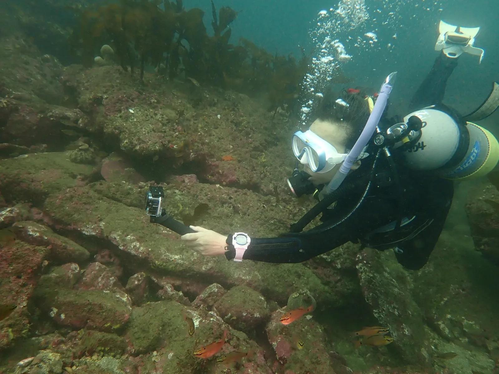 三浦の宮川湾でカメラを構えて水中撮影をするダイバー