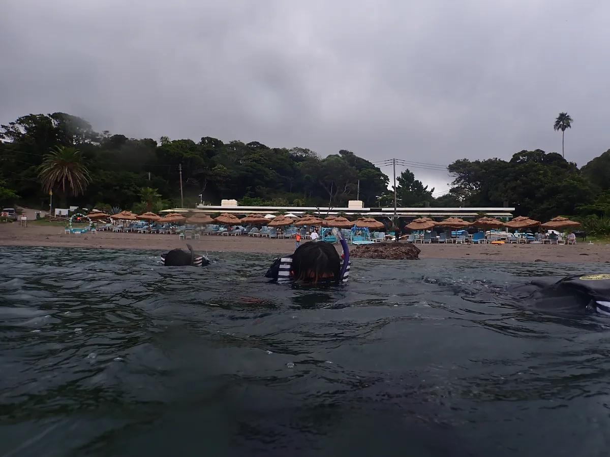 荒井浜のビーチから見た三浦の海。スノーケリングのグループが浅い場所に浮かんでいる