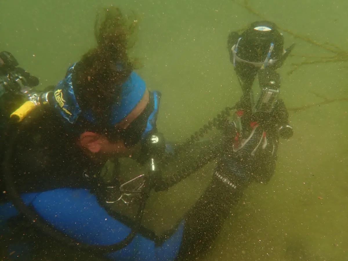 緑がかった三浦・城ヶ島の水中で器材まわりを確認するダイバー