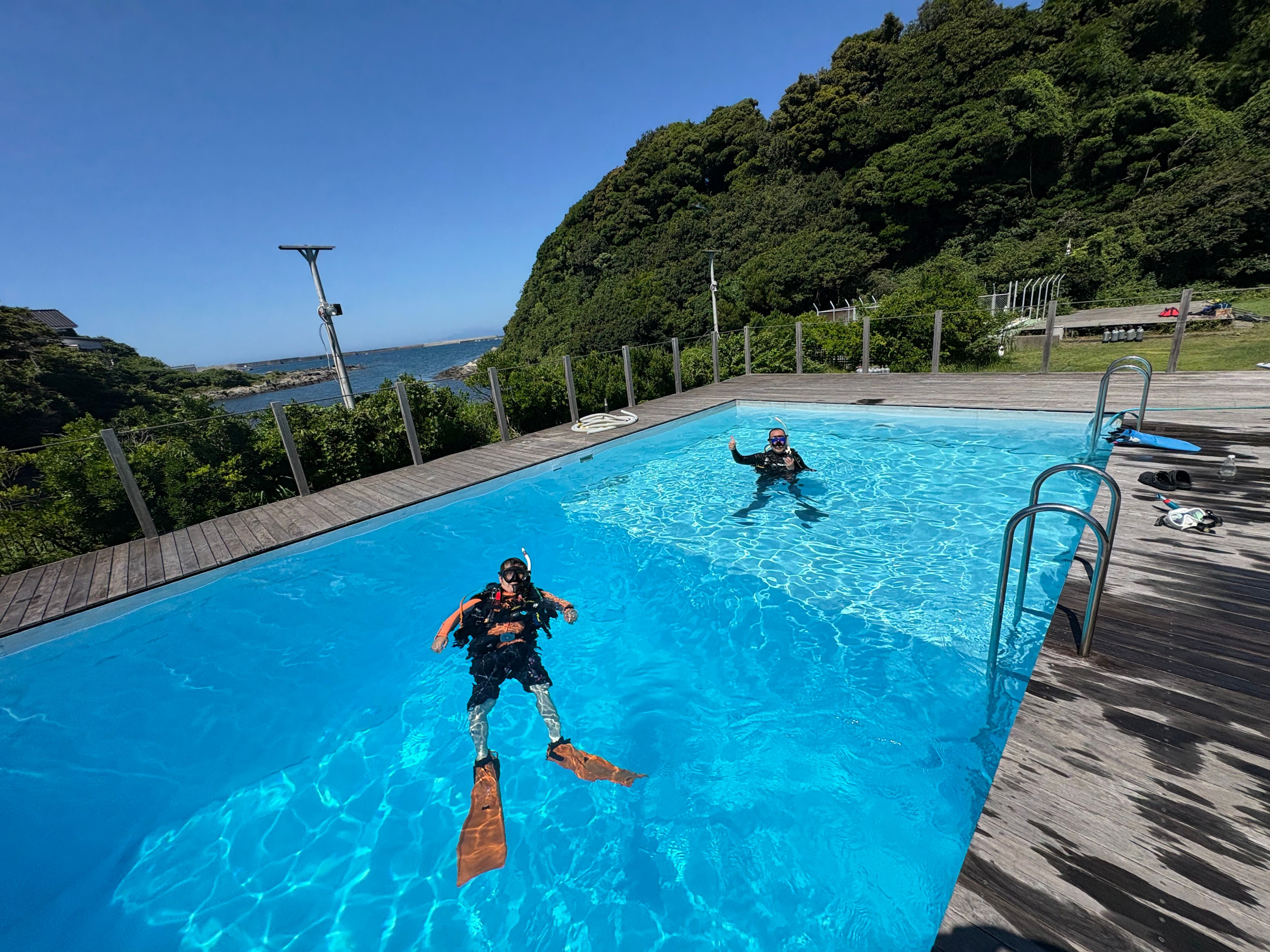 【奇跡の瞬間】アオリイカの赤ちゃんが生まれる瞬間に遭遇！嬉しい再会が呼んだ、三浦の海での感動の一日